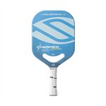 Vợt Pickleball Selkirk x Holderness Family AMPED Pro Air - Epic